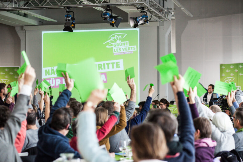 Die Delegierten stimmen ab.